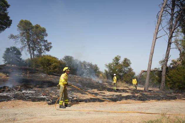 A wildfire has been reported in Camas, Seville, mobilizing firefighters from four stations. INFOCA personnel are working to extinguish a fire that broke out in Camas, Seville. On July 17, 2026, in Camas, Seville, Andalusia, Spain A wildfire broke out on the afternoon of Friday, July 17, in the El Carambolo area within the municipality of Camas, Seville. The fire required the intervention of Infoca personnel and firefighters from four stations in the province, who have had to work to protect nearby homes due to the magnitude of the fire. July 17, 2026 María José Ló Camas, Seville, Andalusia, Spain Camas, Seville, Andalusia, Spain Spain  Copyright: xMariaxJosÃ xLopezx 7670657