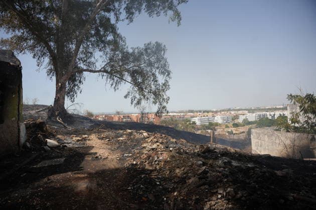 Forest Fire Reported in Camas, Seville, Mobilizing Firefighters from Four Stations Forest Fire Reported in Camas, Seville July 17, 2026, in Camas, Seville, Andalusia, Spain A forest fire was reported on the afternoon of Friday, July 17, in the El Carambolo area within the municipality of Camas, Seville. The fire has required the intervention of personnel from the Infoca Plan and firefighters from four stations in the province, who had to work to protect nearby homes due to the magnitude of the fire. JULY 17, 2026 María José Ló Camas, Seville, Andalusia, Spain Camas, Seville, Andalusia, Spain Spain  Copyright: xMariaxJosÃ xLopezx 7670659