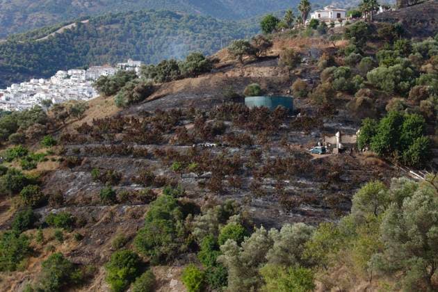 Evacuation of scattered residential areas and lockdown ordered in Cómpeta due to the Árchez fire in Málaga. Firefighting efforts using aerial resources are underway to extinguish the fire that broke out in Cómpeta. As of July 17, 2026, in Cómpeta, La Axarquía, Málaga, Andalusia, Spain The wildfire that broke out this Friday in the Málaga municipality of Árchez has forced the as a precautionary measure, of scattered residential areas in the zone closest to the fire, and a lockdown has been declared for the Málaga town of Cómpeta, while residents and visitors have been urged to avoid nearby areas and to follow the instructions of the emergency services on the scene. JULY 17, 2026 Málaga, Andalusia, Spain  Copyright: xÃlexxZeax 7670898
