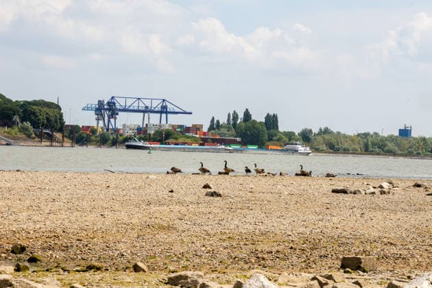 Niedriger Rheinpegel am Pegel Emmerich Für den 17.07.2026 wurde durch die Wasserstraßen- und Schifffahrtsverwaltung des Bundes ein Pegelstand von 15 cm veröffentlicht. Für die Binnenschifffahrt stellt der niedrige Pegel ein Problem dar. Sinkt er zu weit ab, dürfen Schiffe nicht mehr voll beladen werden. Binnenschiff auf dem Rhein vor Emmerich. Emmerich am Rhein, Nordrhein-Westfalen, DEU, Deutschland, 17.07.2026 *** Low water level on the Rhine at the Emmerich gauge. The Federal Waterways and Shipping Administration published a water level of 15 cm for July 17, 2026. The low water level poses a problem for inland waterway shipping. If it drops too low, ships are no longer allowed to be fully loaded. An inland vessel on the Rhine near Em
