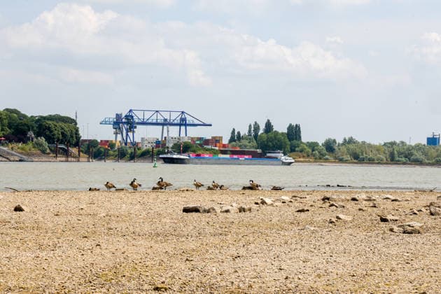 Niedriger Rheinpegel am Pegel Emmerich Für den 17.07.2026 wurde durch die Wasserstraßen- und Schifffahrtsverwaltung des Bundes ein Pegelstand von 15 cm veröffentlicht. Für die Binnenschifffahrt stellt der niedrige Pegel ein Problem dar. Sinkt er zu weit ab, dürfen Schiffe nicht mehr voll beladen werden. Binnenschiff auf dem Rhein vor Emmerich. Emmerich am Rhein, Nordrhein-Westfalen, DEU, Deutschland, 17.07.2026 *** Low water level on the Rhine at the Emmerich gauge. The Federal Waterways and Shipping Administration published a water level of 15 cm for July 17, 2026. The low water level poses a problem for inland waterway shipping. If it drops too low, ships are no longer allowed to be fully loaded. An inland vessel on the Rhine near Em