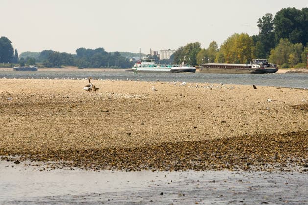 Niedriger Rheinpegel am Pegel Emmerich Für den 17.07.2026 wurde durch die Wasserstraßen- und Schifffahrtsverwaltung des Bundes ein Pegelstand von 15 cm veröffentlicht. Für die Binnenschifffahrt stellt der niedrige Pegel ein Problem dar. Sinkt er zu weit ab, dürfen Schiffe nicht mehr voll beladen werden. Binnenschiff auf dem Rhein vor Emmerich. Emmerich am Rhein, Nordrhein-Westfalen, DEU, Deutschland, 17.07.2026 *** Low water level on the Rhine at the Emmerich gauge. The Federal Waterways and Shipping Administration published a water level of 15 cm for July 17, 2026. The low water level poses a problem for inland waterway shipping. If it drops too low, ships are no longer allowed to be fully loaded. An inland vessel on the Rhine near Em