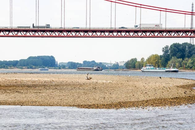 Niedriger Rheinpegel am Pegel Emmerich Für den 17.07.2026 wurde durch die Wasserstraßen- und Schifffahrtsverwaltung des Bundes ein Pegelstand von 15 cm veröffentlicht. Für die Binnenschifffahrt stellt der niedrige Pegel ein Problem dar. Sinkt er zu weit ab, dürfen Schiffe nicht mehr voll beladen werden. Binnenschiff auf dem Rhein vor Emmerich. Emmerich am Rhein, Nordrhein-Westfalen, DEU, Deutschland, 17.07.2026 *** Low water level on the Rhine at the Emmerich gauge. The Federal Waterways and Shipping Administration published a water level of 15 cm for July 17, 2026. The low water level poses a problem for inland waterway shipping. If it drops too low, ships are no longer allowed to be fully loaded. An inland vessel on the Rhine near Em