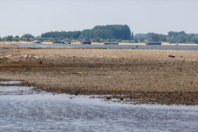 Niedriger Rheinpegel am Pegel Emmerich Für den 17.07.2026 wurde durch die Wasserstraßen- und Schifffahrtsverwaltung des Bundes ein Pegelstand von 15 cm veröffentlicht. Für die Binnenschifffahrt stellt der niedrige Pegel ein Problem dar. Sinkt er zu weit ab, dürfen Schiffe nicht mehr voll beladen werden. Binnenschiff auf dem Rhein vor Emmerich. Emmerich am Rhein, Nordrhein-Westfalen, DEU, Deutschland, 17.07.2026 *** Low water level on the Rhine at the Emmerich gauge. The Federal Waterways and Shipping Administration published a water level of 15 cm for July 17, 2026. The low water level poses a problem for inland waterway shipping. If it drops too low, ships are no longer allowed to be fully loaded. An inland vessel on the Rhine near Em
