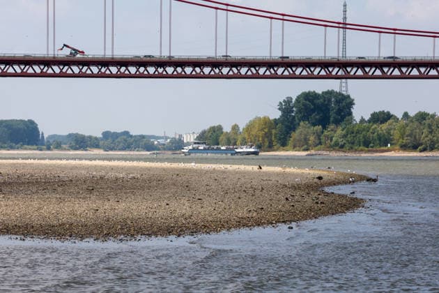 Niedriger Rheinpegel am Pegel Emmerich Für den 17.07.2026 wurde durch die Wasserstraßen- und Schifffahrtsverwaltung des Bundes ein Pegelstand von 15 cm veröffentlicht. Für die Binnenschifffahrt stellt der niedrige Pegel ein Problem dar. Sinkt er zu weit ab, dürfen Schiffe nicht mehr voll beladen werden. Binnenschiff auf dem Rhein vor Emmerich. Emmerich am Rhein, Nordrhein-Westfalen, DEU, Deutschland, 17.07.2026 *** Low water level on the Rhine at the Emmerich gauge. The Federal Waterways and Shipping Administration published a water level of 15 cm for July 17, 2026. The low water level poses a problem for inland waterway shipping. If it drops too low, ships are no longer allowed to be fully loaded. An inland vessel on the Rhine near Em