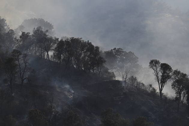 Morgan fire near Mount Diablo of California CONTRA COSTA COUNTY, CALIFORNIA - JULY 17: A view of burning areas on mountain as crews battle wildfire between Morgan Territory State Park and Mount Diablo State Park in Contra Costa County, California, United States on July 17, 2026. Tayfun Coskun Anadolu California United States. Editorial use only. Please get in touch for any other usage.  Copyright: x2026xAnadoluxTayfunxCoskunx