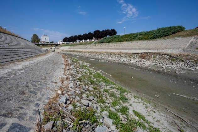 Croatia Low Water Levels A view of the low water levels on the Vuka River near Vukovar, Croatia on July 18, 2026.  DavorxJavorovic PIXSELL