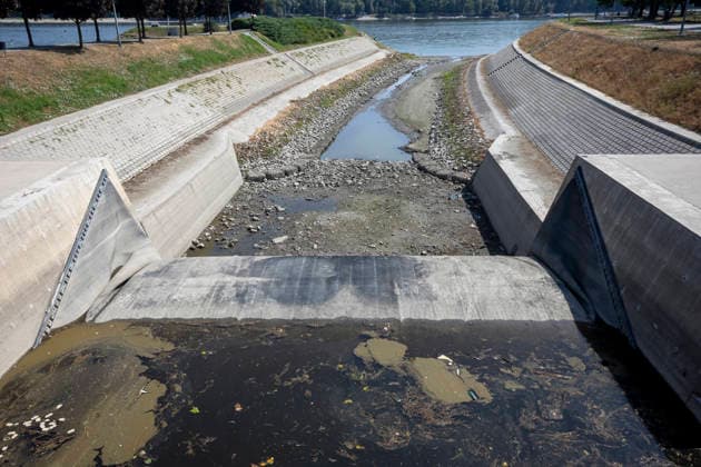 Croatia Low Water Levels A view of the low water levels on the Vuka River near Vukovar, Croatia on July 18, 2026.  DavorxJavorovic PIXSELL