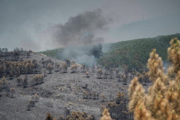 More than 300 firefighters are working to extinguish the fire in La Mierla, Guadalajara. Area of forest burned by the fire, as of July 18, 2026, in La Mierla, Guadalajara, Castilla-La Mancha, Spain. The fire remains active on several fronts and is advancing toward the municipality of Semillas, has forced the evacuation of 529 residents from eleven municipalities, and has already destroyed 3,483 hectares. JULY 18, 2026 FOREST FIRE La Mierla, Guadalajara, Castile La Mierla, Guadalajara, Castile, Spain  Copyright: xMateoxLanzuelax 7672934