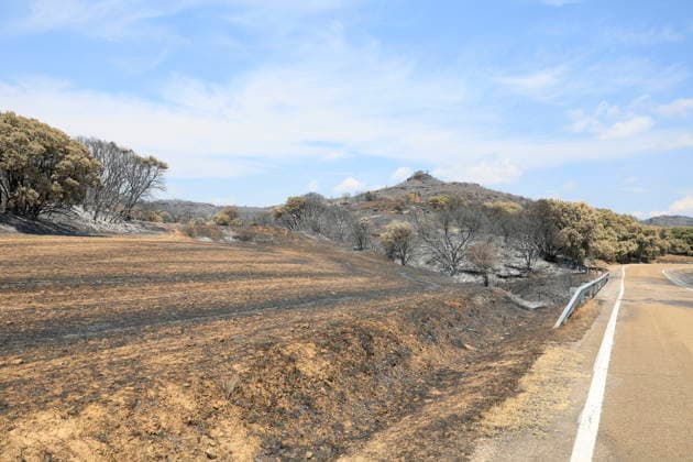 The Cinco Villas wildfire has now burned some 15,400 hectares. Area of land burned during a wildfire on the road between Orés and Luesia, on July 18, 2026, in Las Cinco Villas, Zaragoza, Aragon, Spain. Firefighting efforts have succeeded in protecting the town center of Luesia from the flames of the wildfire that began on Wednesday in Orés, in the Cinco Villas region, and which remains out of control, with a preliminary estimate early Saturday morning of 15,400 hectares affected within a 60-kilometer radius. In recent hours, the fire has spread in sectors 5 and 1, corresponding to the left flank, driven by wind and the topography. The Government of Aragon maintains Operational Situation 2, Level 2, under the Special Civil Protection Plan f  Copyright: xRamonxCometx 7672943