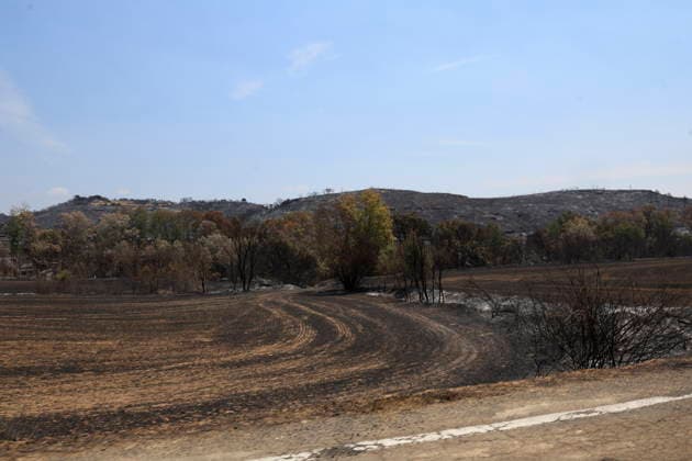The Cinco Villas wildfire has now burned some 15,400 hectares. Area of land burned during a wildfire on the road between Orés and Luesia, on July 18, 2026, in Las Cinco Villas, Zaragoza, Aragon, Spain. Firefighting efforts have succeeded in protecting the town center of Luesia from the flames of the wildfire that began on Wednesday in Orés, in the Cinco Villas region, and which remains out of control, with a preliminary estimate early Saturday morning of 15,400 hectares affected within a 60-kilometer radius. In recent hours, the fire has spread in sectors 5 and 1, corresponding to the left flank, driven by wind and the topography. The Government of Aragon maintains Operational Situation 2, Level 2, under the Special Civil Protection Plan f  Copyright: xRamonxCometx 7672942