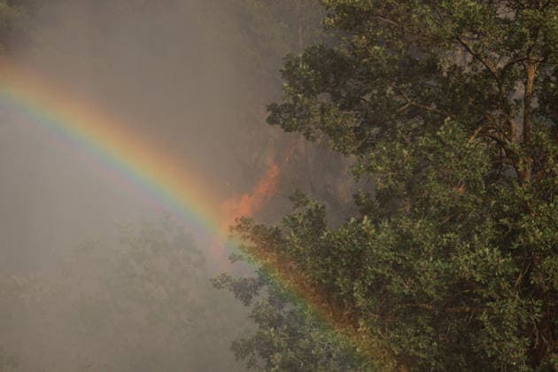 Forest fires continue on the Italian island of Sicily PALERMO, ITALY - JULY 18: A rainbow is seen while smoke and flames rise from a forest fire spreading across the slopes of Mount Iato near Palermo on the island of Sicily, Italy, on July 18, 2026, as ground and air crews continue their efforts to contain the blaze. Forest fires breaking out at various points on the island are continuing. Alberto Lo Bianco Anadolu Palermo Italy. Editorial use only. Please get in touch for any other usage.  Copyright: x2026xAnadoluxAlbertoxLoxBiancox