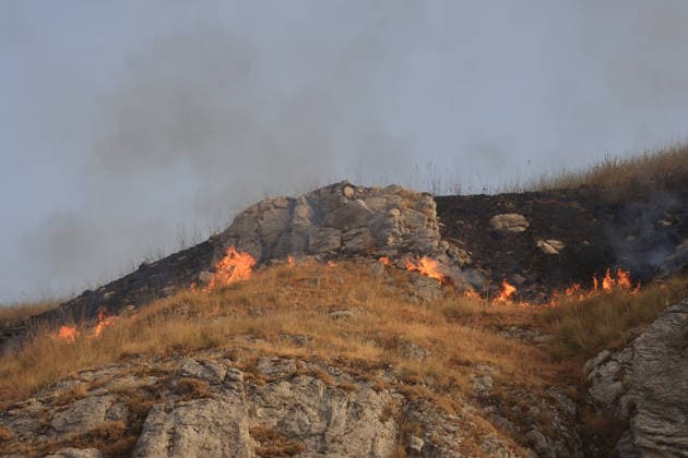 Forest fires continue on the Italian island of Sicily PALERMO, ITALY - JULY 18: Smoke and flames rise from a forest fire spreading across the slopes of Mount Iato near Palermo on the island of Sicily, Italy, on July 18, 2026, as ground and air crews continue their efforts to contain the blaze. Forest fires breaking out at various points on the island are continuing. Alberto Lo Bianco Anadolu Palermo Italy. Editorial use only. Please get in touch for any other usage.  Copyright: x2026xAnadoluxAlbertoxLoxBiancox