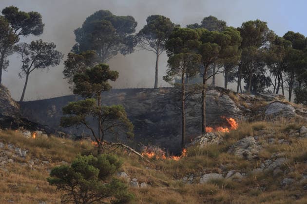 Forest fires continue on the Italian island of Sicily PALERMO, ITALY - JULY 18: Smoke and flames rise from a forest fire spreading across the slopes of Mount Iato near Palermo on the island of Sicily, Italy, on July 18, 2026, as ground and air crews continue their efforts to contain the blaze. Forest fires breaking out at various points on the island are continuing. Alberto Lo Bianco Anadolu Palermo Italy. Editorial use only. Please get in touch for any other usage.  Copyright: x2026xAnadoluxAlbertoxLoxBiancox