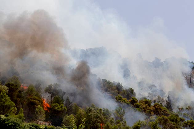 Wildfire Spreads Amid Heatwave in Sicily Smoke and flames rise from a wildfire spreading among trees on a hillside in Modica, Sicily, Italy, on July 18, 2026. Wildfires were reported in parts of Sicily as high temperatures persisted across the region. Modica Sicily Italy Copyright: xElvisxTakahashixMantellox