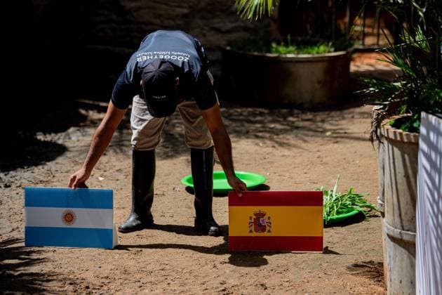 Moo Daeng the Pygmy Hippo Predicts Spain to Win 2026 FIFA World Cup Final NAKHON RATCHASIMA, THAILAND JULY 19, 2026: Officer prepare for Moo Daeng, the popular pygmy hippo, takes part in a prediction event for the 2026 FIFA World Cup final at Nakhon Ratchasima Zoo, Thailand, July 19, 2026. During the event, Moo Daeng chooses food from a tray marked with the Spanish flag, predicting Spain to defeat Argentina in the tournament s final. The light-hearted event attracts visitors and football fans ahead of the FIFA World Cup final. Nakhon Ratchasima Thailand Copyright: x xCaptainxJirathummanuwatx xJNAxPressx