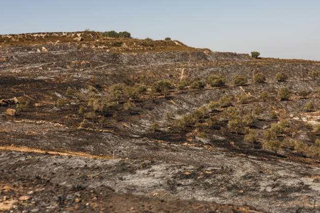 Major wildfire destroys homes near Havat Gilad in the West Bank HAVAT GILAD, WEST BANK JULY 19, 2026: Firefighters battle a wildfire near Havat Gilad in the occupied West Bank after a blaze rapidly spread through dry vegetation, destroying about 30 structures, including homes and businesses. Israeli authorities said they were investigating the incident as a suspected nationalist-motivated arson attack after a person allegedly threw a burning object from a moving vehicle. Two emergency responders were injured. West Bank, Havat Gilad PS Copyright: x xHilelxbenxorx xJNAxPressx