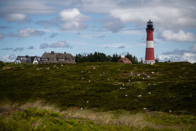 Hörnum auf Sylt 19.07.2026, Hörnum --- Der Leuchtturm Hörnum erhebt sich neben reetgedeckten Häusern am südlichen Ende der Insel Sylt. Der Turm ist eines der bekanntesten Wahrzeichen der Insel. Hörnum Schleswig-Holstein Deutschland *** Hörnum on Sylt, July 19, 2026, Hörnum: The Hörnum Lighthouse stands next to thatched-roof houses at the southern tip of the island of Sylt. The tower is one of the island’s most famous landmarks. Hörnum, Schleswig-Holstein, Germany