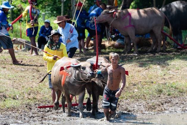 July 19, 2026, Chonburi Province, Thailand: CHONBURI, THAILAND JULY 19, 2026: The atmosphere of the traditional water buffalo racing festival at a temporary ground in Mueang Chonburi District. The event reflects the agricultural heritage of eastern Thailand, where farmers traditionally cultivate rice and raise buffaloes. JNA Press Chonburi Province Thailand - ZUMAq101 20260719_zna_q101_146 Copyright: xTeeraxNoisakranx