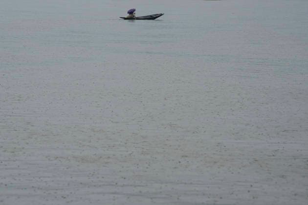 July 20, 2026, Srinagar, Jammu And Kashmir, India: A man rows his Shikara boat during heavy rainfall in Srinagar.Torrential rain unleashed flash floods and landslides in Pir Panjal region of J&Ks Poonch and Rajouri districts Sunday, killing at least 14 people, leaving several missing and burying homes under walls of water, rock and mud that barrelled down mountain slopes. Officials said the toll could rise as rescuers searched for those trapped beneath debris. Srinagar India  - ZUMAz120 20260720_zip_z120_013 Copyright: xBasitxZargarx