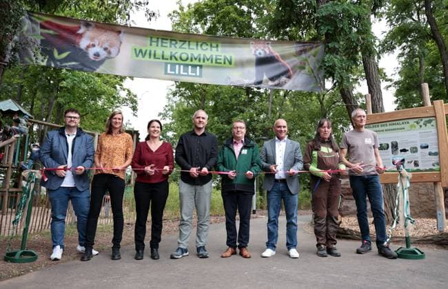 Thueringer Zoopark Erfurt 20.07.2026, Erfurt, Thueringer Zoopark, Eroeffnung der neuen Anlage der Roten Pandas und Stachelschweine im Bild: Eroeffnung durch u.a. Zoodirektor Jan Schleinitz, zoologische Leiterin Tina Risch, Oberbuergermeister Andreas Horn, Dr. Julia Koegler (stellvertretende Geschaeftsfuehrerin des Verbands der Zoologischen Gaerten (VdZ)) *** Thuringian Zoopark Erfurt, July 20, 2026, Erfurt, Thuringian Zoopark: Opening of the new red panda and porcupine enclosure. Pictured: The opening ceremony attended by, among others, Zoo Director Jan Schleinitz, Zoological Director Tina Risch, and Mayor Andreas Horn, Dr. Julia Koegler, Deputy Executive Director of the Association of Zoological Gardens (VdZ)