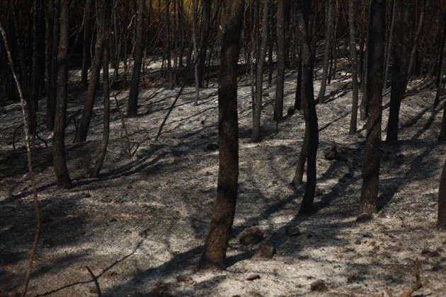 Firefighting helicopters battle wildfire in southern France TARADEAU, FRANCE - JULY 20: An aerial view of the burned area as firefighting helicopters drop water on a wildfire near Taradeau in the Var department of southern France on July 20, 2026. Two wildfires broke out in France s southern Var department on Sunday, burning around 90 hectares (222 acres) and forcing evacuations, local authorities said. A rapidly spreading blaze first burned around 30 hectares in Taradeau before spreading to the neighboring commune of Les Arcs, where another 60 hectares were scorched, the Var Prefecture said on the US social media company X. The prefecture said strong winds and drought-stricken vegetation were fueling the rapid spread of the fire. Authoriti  Copyright: x2026xAnadoluxMohamadxSalaheldinxAbdelghanixAlsayedx