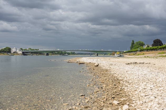 Niedrigwasser am Rhein in Bonn-Beuel Niedrigwasser am Rhein: Bei einem Pegelstand von 125 cm am Pegel Bonn liegt das Flussbett am Beueler Rheinufer bis auf die tiefer liegende Fahrrinne trocken. Blick nach Norden auf die stark befahrene Kennedybrücke, im Hintergrund die gesperrte Nordbrücke (Friedrich-Ebert-Brücke). Bonn Beuel Nordrhein-Westfalen Deutschland *** Low Water Levels on the Rhine in Bonn-Beuel Low Water Levels on the Rhine With the water level at the Bonn gauge station at 125 cm, the riverbed on the Beuel side of the Rhine is dry except for the lower-lying navigation channel; view looking north toward the heavily trafficked Kennedy Bridge, with the closed Nordbrücke in the background. Friedrich Ebert Bridge, Bonn-Beuel, North Copyright: xMarcxJohnx