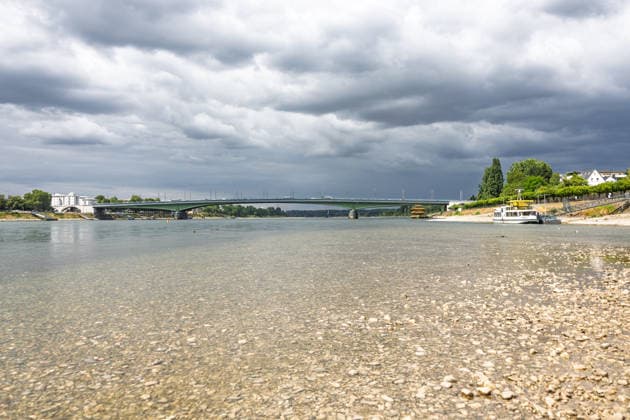 Niedrigwasser am Rhein in Bonn-Beuel Niedrigwasser am Rhein: Bei einem Pegelstand von 125 cm am Pegel Bonn liegt das Flussbett am Beueler Rheinufer bis auf die tiefer liegende Fahrrinne trocken. Blick nach Norden auf die stark befahrene Kennedybrücke, im Hintergrund die gesperrte Nordbrücke (Friedrich-Ebert-Brücke). Bonn Beuel Nordrhein-Westfalen Deutschland *** Low Water Levels on the Rhine in Bonn-Beuel Low Water Levels on the Rhine With the water level at the Bonn gauge station at 125 cm, the riverbed along the Beuel bank of the Rhine is dry except for the lower-lying navigation channel; view looking north toward the heavily trafficked Kennedy Bridge, with the closed Nordbrücke in the background. Friedrich Ebert Bridge, Bonn-Beuel, No Copyright: xMarcxJohnx