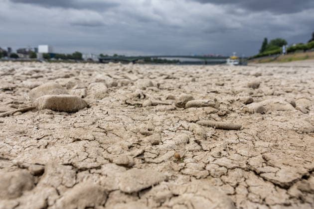 Niedrigwasser am Rhein in Bonn-Beuel Niedrigwasser am Rhein: Bei einem Pegelstand von 125 cm am Pegel Bonn liegt das Flussbett am Beueler Rheinufer bis auf die tiefer liegende Fahrrinne trocken. Blick nach Norden auf die stark befahrene Kennedybrücke, im Hintergrund die gesperrte Nordbrücke (Friedrich-Ebert-Brücke). Bonn Beuel Nordrhein-Westfalen Deutschland *** Low Water Levels on the Rhine in Bonn-Beuel Low Water Levels on the Rhine With the water level at the Bonn gauge station at 125 cm, the riverbed along the Beuel bank of the Rhine is dry except for the lower-lying navigation channel; view looking north toward the heavily trafficked Kennedy Bridge, with the closed Nordbrücke in the background. Friedrich Ebert Bridge, Bonn-Beuel, No Copyright: xMarcxJohnx