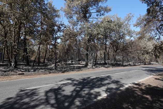 FONTAINEBLEAU FIRE PHOTOPQR LE PARISIEN Le Parisien Arnaud Journois FONTAINEBLEAU July 20, 2026 Fontainebleau Forest, Seine-et-Marne, on July 20, 2026 Fire in the Fontainebleau Forest near the D64 between the towns of Achères-la-Forêt, Le Vaudoué, and Noisy-sur-École Photo: Le Parisien, Arnaud Journois Devastated forest in Fontainebleau, France, on July 20, 2026 FONTAINEBLEAU, France  Copyright: xPHOTOPQR LExPARISIEN MAXPPPxLexParisienx xArnaudxJournoisx 20260720LPA0634 20260720LPA0634