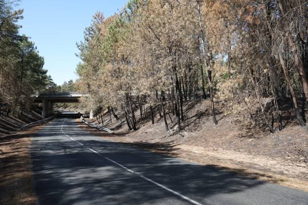 FONTAINEBLEAU FIRE PHOTOPQR LE PARISIEN Le Parisien Arnaud Journois FONTAINEBLEAU July 20, 2026 Fontainebleau Forest, Seine-et-Marne, on July 20, 2026 Fire in the Fontainebleau Forest near the D64 between the towns of Achères-la-Forêt, Le Vaudoué, and Noisy-sur-École Photo: Le Parisien, Arnaud Journois Devastated forest in Fontainebleau, France, on July 20, 2026 FONTAINEBLEAU, France  Copyright: xPHOTOPQR LExPARISIEN MAXPPPxLexParisienx xArnaudxJournoisx 20260720LPA0635 20260720LPA0635