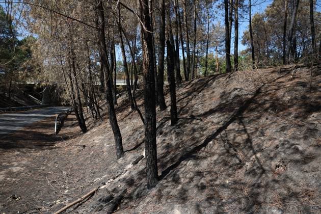 FONTAINEBLEAU FIRE PHOTOPQR LE PARISIEN Le Parisien Arnaud Journois FONTAINEBLEAU July 20, 2026 Fontainebleau Forest, Seine-et-Marne, on July 20, 2026 Fire in the Fontainebleau Forest near the D64 between the towns of Achères-la-Forêt, Le Vaudoué, and Noisy-sur-École Photo: Le Parisien, Arnaud Journois Devastated forest in Fontainebleau, France, on July 20, 2026 FONTAINEBLEAU, France  Copyright: xPHOTOPQR LExPARISIEN MAXPPPxLexParisienx xArnaudxJournoisx 20260720LPA0636 20260720LPA0636