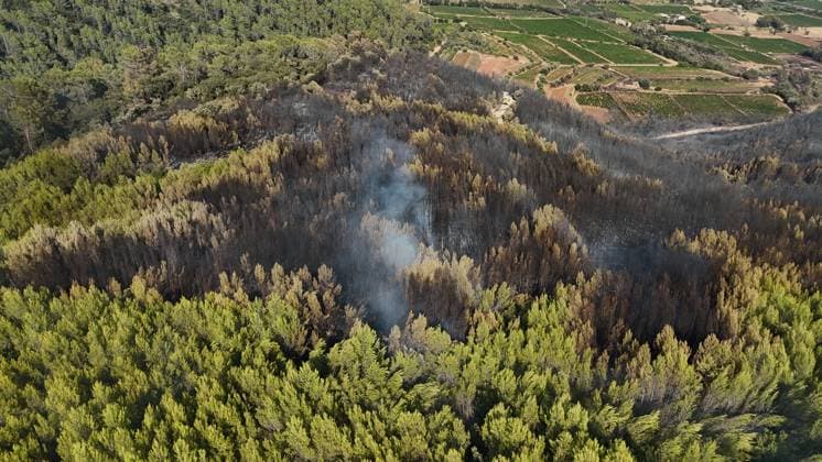 Drone footage captures wildfire in southern France TARADEAU, FRANCE - JULY 20: Drone footage shows smoke rising from a wildfire near Taradeau in the Var department of southern France on July 20, 2026. Two wildfires broke out in France s southern Var department on Sunday, burning around 90 hectares (222 acres) and forcing evacuations, local authorities said. A rapidly spreading blaze first burned around 30 hectares in Taradeau before spreading to the neighboring commune of Les Arcs, where another 60 hectares were scorched, the Var Prefecture said on the US social media company X. Around 220 firefighters and about 100 vehicles were deployed, supported by two Canadair firefighting aircraft, three water-bombing helicopters and a Dash firefighti  Copyright: x2026xAnadoluxMohamadxSalaheldinxAbdelghanixAlsayedx