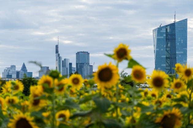 News Bilder des Tages #2 July 20, 2026, Frankfurt, Hesse, Germany: The European Central Bank and the Frankfurt financial district skyline are seen behind sunflowers in Frankfurt am Main, Germany. Frankfurt Germany - ZUMAb332 20260720_zip_b332_001 Copyright: xMatiasxBasualdox