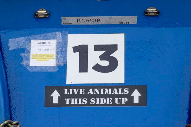 July 20, 2026, Niagara Falls, On, Canada: A tank in which Beluga whale Acadia will be transported by a group of experts from Marineland and several US aquariums at Marineland in Niagara Falls, Ont., Monday, July 20, 2026. Niagara Falls Canada  - ZUMAc35_ 20260720_zaf_c35_048 Copyright: xCarlosxOsoriox
