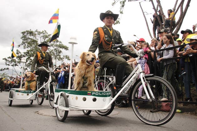 July 20, 2026, Bogota, Bogota D.C, Colombia: Members of Colombia s military and police forces parade during the Independence Day of Colombia military parade in Bogota, Colombia on July 20, 2026. Bogota Colombia - ZUMAvp1_ 20260720_zia_vp1_035 Copyright: xJorgexLondonox