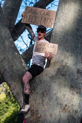July 20, 2026, Salt Lake City, Utah, USA: A protester sits in a tree holding signs reading SAVE OUR PUBLIC LANDS and GOV COX SUCKS outside the Utah Governor s Mansion in Salt Lake City, Utah, on Monday, July 20, 2026. The community rally was organized to protest executive actions drastically reducing the boundaries of the Bears Ears and Grand Staircase-Escalante national monuments. Salt Lake City USA - ZUMAm292 20260720_znp_m292_004 Copyright: xCharlesxMcClintockxWilsonx