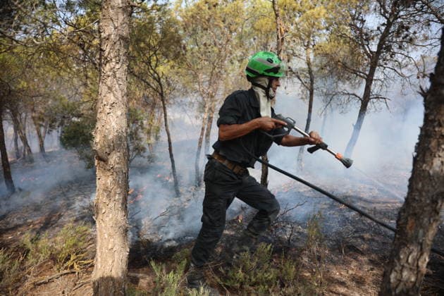 Firefighters battle forest fires in Bouira, Algeria BOUIRA, ALGERIA - JULY 21: Civil defense and firefighting teams battle flames spreading through a forested mountainous area in El Hachimia, Bouira province, on July 21, 2026 in Bouira, Algeria. Crews continue efforts to bring the forest fires under control and prevent the flames from spreading further. Hamza Zait Anadolu Bouira Algeria. Editorial use only. Please get in touch for any other usage.  Copyright: x2026xAnadoluxHamzaxZaitx