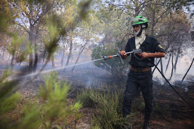 Firefighters battle forest fires in Bouira, Algeria BOUIRA, ALGERIA - JULY 21: Civil defense and firefighting teams battle flames spreading through a forested mountainous area in El Hachimia, Bouira province, on July 21, 2026 in Bouira, Algeria. Crews continue efforts to bring the forest fires under control and prevent the flames from spreading further. Hamza Zait Anadolu Bouira Algeria. Editorial use only. Please get in touch for any other usage.  Copyright: x2026xAnadoluxHamzaxZaitx