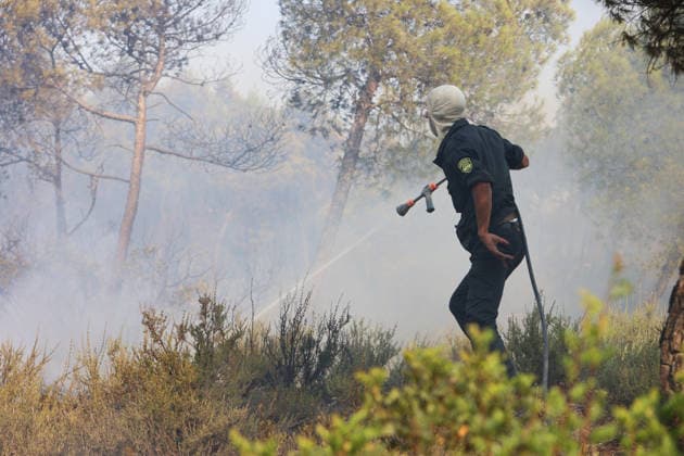 Firefighters battle forest fires in Bouira, Algeria BOUIRA, ALGERIA - JULY 21: Civil defense and firefighting teams battle flames spreading through a forested mountainous area in El Hachimia, Bouira province, on July 21, 2026 in Bouira, Algeria. Crews continue efforts to bring the forest fires under control and prevent the flames from spreading further. Hamza Zait Anadolu Bouira Algeria. Editorial use only. Please get in touch for any other usage.  Copyright: x2026xAnadoluxHamzaxZaitx