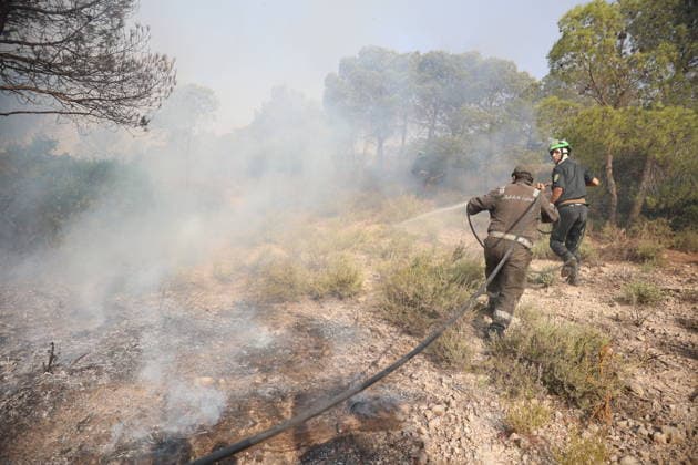 Firefighters battle forest fires in Bouira, Algeria BOUIRA, ALGERIA - JULY 21: Civil defense and firefighting teams battle flames spreading through a forested mountainous area in El Hachimia, Bouira province, on July 21, 2026 in Bouira, Algeria. Crews continue efforts to bring the forest fires under control and prevent the flames from spreading further. Hamza Zait Anadolu Bouira Algeria. Editorial use only. Please get in touch for any other usage.  Copyright: x2026xAnadoluxHamzaxZaitx