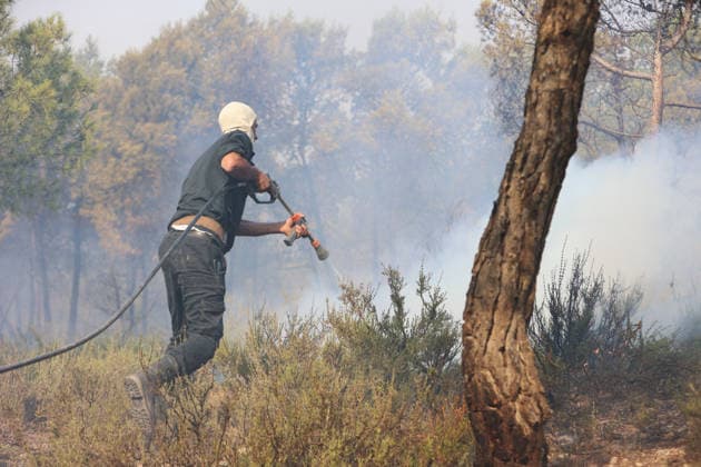 Firefighters battle forest fires in Bouira, Algeria BOUIRA, ALGERIA - JULY 21: Civil defense and firefighting teams battle flames spreading through a forested mountainous area in El Hachimia, Bouira province, on July 21, 2026 in Bouira, Algeria. Crews continue efforts to bring the forest fires under control and prevent the flames from spreading further. Hamza Zait Anadolu Bouira Algeria. Editorial use only. Please get in touch for any other usage.  Copyright: x2026xAnadoluxHamzaxZaitx