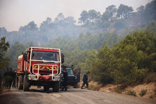 Firefighters battle forest fires in Bouira, Algeria BOUIRA, ALGERIA - JULY 21: Civil defense and firefighting teams battle flames spreading through a forested mountainous area in El Hachimia, Bouira province, on July 21, 2026 in Bouira, Algeria. Crews continue efforts to bring the forest fires under control and prevent the flames from spreading further. Hamza Zait Anadolu Bouira Algeria. Editorial use only. Please get in touch for any other usage.  Copyright: x2026xAnadoluxHamzaxZaitx