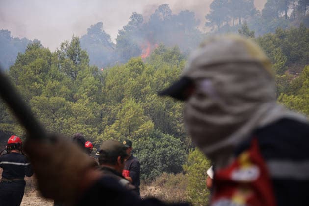 Firefighters battle forest fires in Bouira, Algeria BOUIRA, ALGERIA - JULY 21: Civil defense and firefighting teams battle flames spreading through a forested mountainous area in El Hachimia, Bouira province, on July 21, 2026 in Bouira, Algeria. Crews continue efforts to bring the forest fires under control and prevent the flames from spreading further. Hamza Zait Anadolu Bouira Algeria. Editorial use only. Please get in touch for any other usage.  Copyright: x2026xAnadoluxHamzaxZaitx