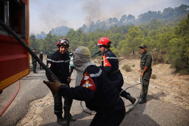 Firefighters battle forest fires in Bouira, Algeria BOUIRA, ALGERIA - JULY 21: Civil defense and firefighting teams battle flames spreading through a forested mountainous area in El Hachimia, Bouira province, on July 21, 2026 in Bouira, Algeria. Crews continue efforts to bring the forest fires under control and prevent the flames from spreading further. Hamza Zait Anadolu Bouira Algeria. Editorial use only. Please get in touch for any other usage.  Copyright: x2026xAnadoluxHamzaxZaitx