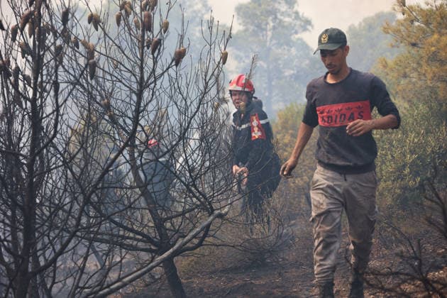 Firefighters battle forest fires in Bouira, Algeria BOUIRA, ALGERIA - JULY 21: Civil defense and firefighting teams battle flames spreading through a forested mountainous area in El Hachimia, Bouira province, on July 21, 2026 in Bouira, Algeria. Crews continue efforts to bring the forest fires under control and prevent the flames from spreading further. Hamza Zait Anadolu Bouira Algeria. Editorial use only. Please get in touch for any other usage.  Copyright: x2026xAnadoluxHamzaxZaitx