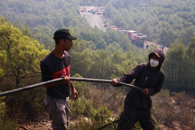Firefighters battle forest fires in Bouira, Algeria BOUIRA, ALGERIA - JULY 21: Civil defense and firefighting teams battle flames spreading through a forested mountainous area in El Hachimia, Bouira province, on July 21, 2026 in Bouira, Algeria. Crews continue efforts to bring the forest fires under control and prevent the flames from spreading further. Hamza Zait Anadolu Bouira Algeria. Editorial use only. Please get in touch for any other usage.  Copyright: x2026xAnadoluxHamzaxZaitx
