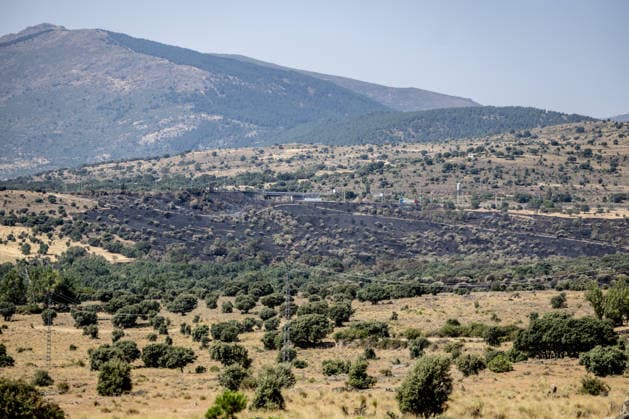 The Aftermath of the Lozoyuela Wildfire One of the areas burned by the fire, as of July 21, 2026, in Lozoyuela, Madrid, Spain. The wildfire that broke out on July 16 in the Madrid town of Lozoyuela burned 865 hectares of forest and scrubland, making it one of the most severe on record in the region. It forced the evacuation of a children’s camp and the preventive confinement of more than 2,000 residents due to the smoke. A man with a criminal record was arrested as the alleged arsonist, against whom the Community of Madrid has joined the case as a private prosecutor JULY 21, 2026 Lozoyuela, Madrid Lozoyuela, Madrid, Spain  Copyright: xRicardoxRubiox 7679131