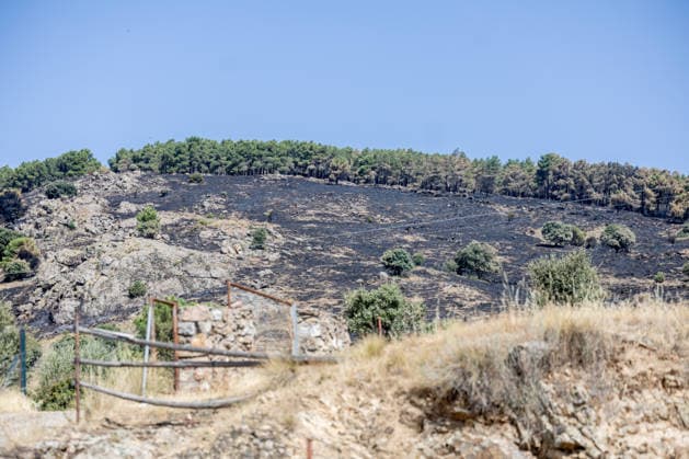 The Aftermath of the Lozoyuela Wildfire One of the areas burned by the fire, as of July 21, 2026, in Lozoyuela, Madrid, Spain. The wildfire that broke out on July 16 in the Madrid town of Lozoyuela burned 865 hectares of forest and scrubland, making it one of the most severe on record in the region. It forced the evacuation of a children’s camp and the preventive confinement of more than 2,000 residents due to the smoke. A man with a criminal record was arrested as the alleged arsonist, against whom the Community of Madrid has joined the case as a private prosecutor JULY 21, 2026 Lozoyuela, Madrid Lozoyuela, Madrid, Spain  Copyright: xRicardoxRubiox 7679135