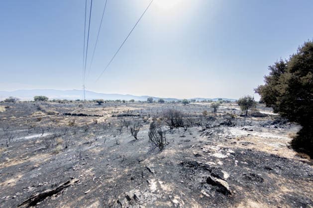The Aftermath of the Lozoyuela Wildfire One of the areas burned by the fire, as of July 21, 2026, in Lozoyuela, Madrid, Spain. The wildfire that broke out on July 16 in the Madrid town of Lozoyuela burned 865 hectares of forest and scrubland, making it one of the most severe on record in the region. It forced the evacuation of a children’s camp and the preventive confinement of more than 2,000 residents due to the smoke. A man with a criminal record was arrested as the alleged arsonist, against whom the Community of Madrid has joined the case as a private prosecutor JULY 21, 2026 Lozoyuela, Madrid Lozoyuela, Madrid, Spain  Copyright: xRicardoxRubiox 7679138